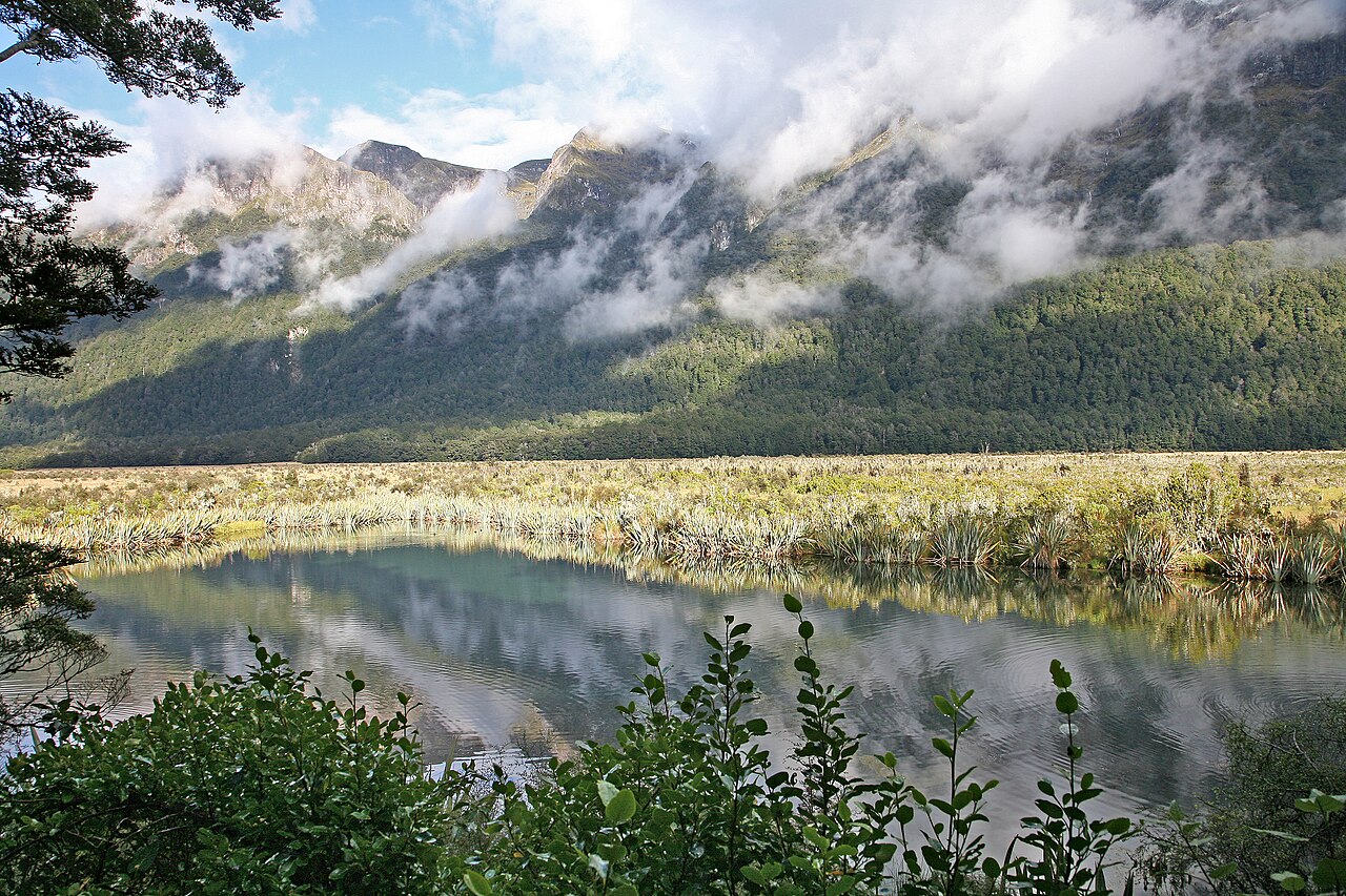 Lake Gunn Nature Walk