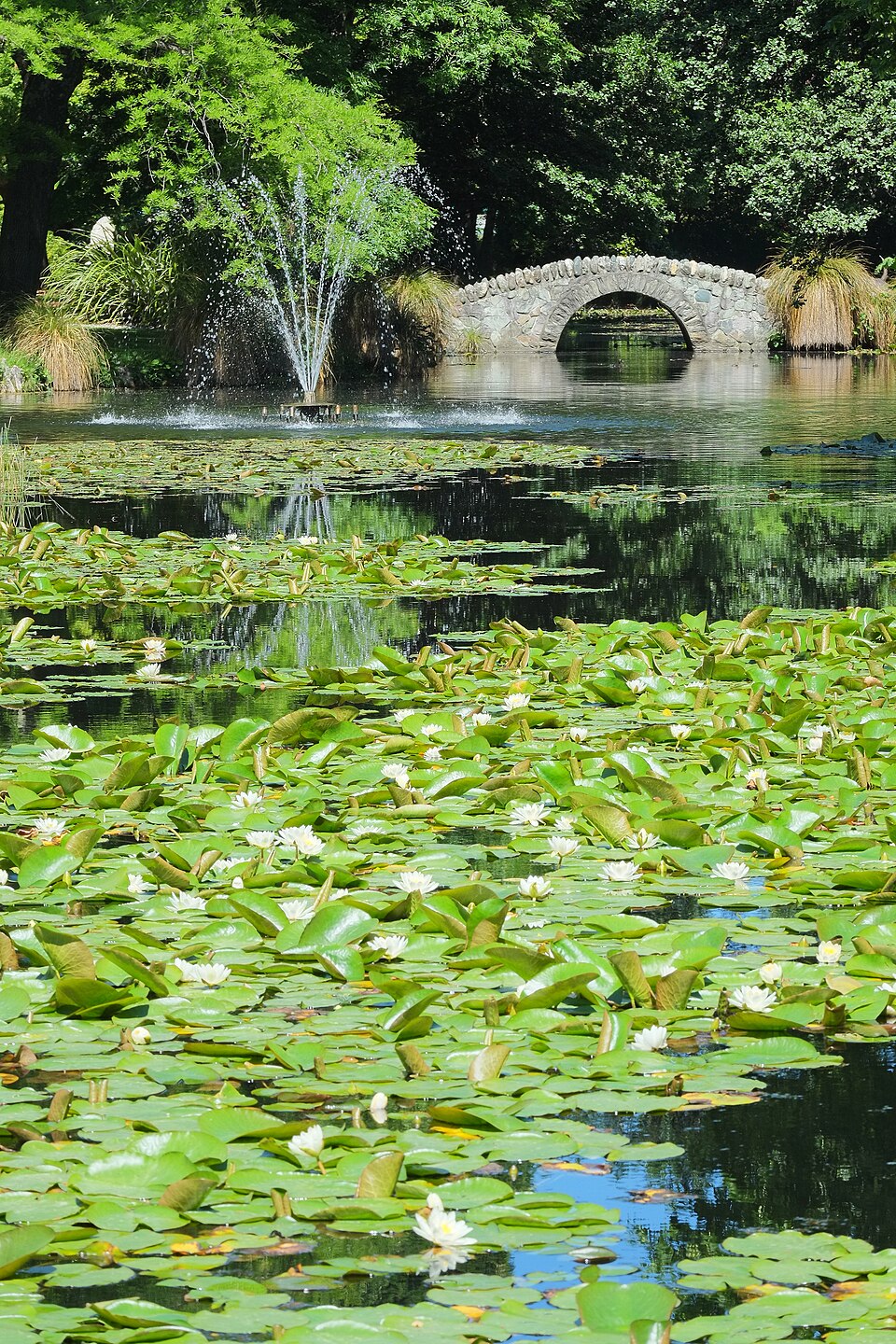 Queenstown Gardens